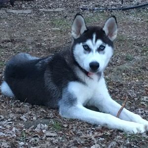 Meet your Posher, Gayle